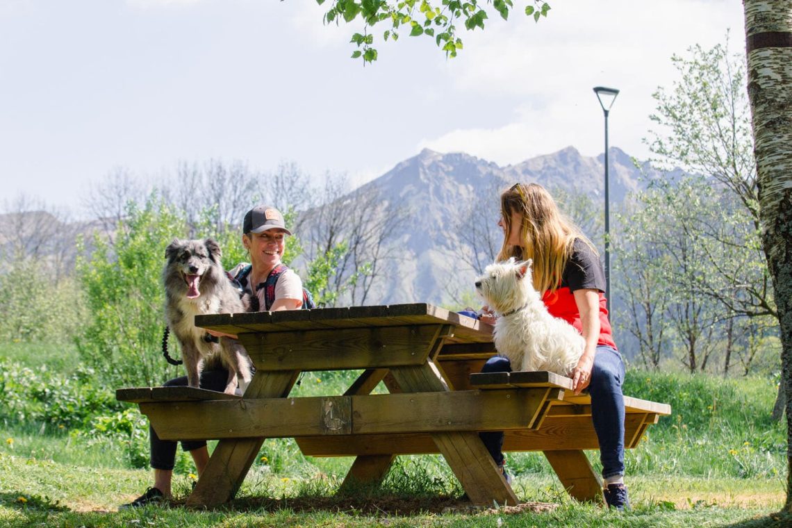 2 jours dans le Sancy avec votre chien 2 jours dans le Sancy avec votre chien