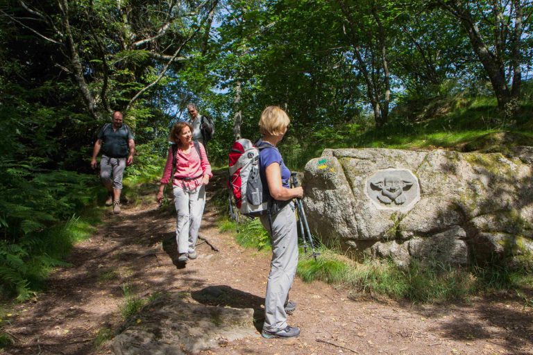 Commander les fiches de nos petites randonnées coup de cœur dans le massif du Sancy