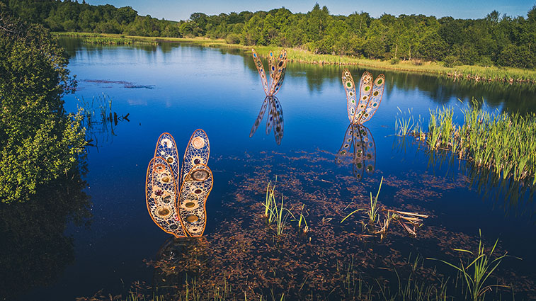 Horizons 2025 : Meganeuridae de Tracey Shough et Adam Varley, à Picherande