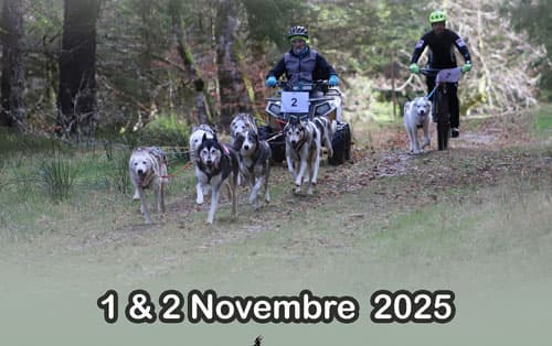 Course-des-Volcans-La-Bourboule-2025