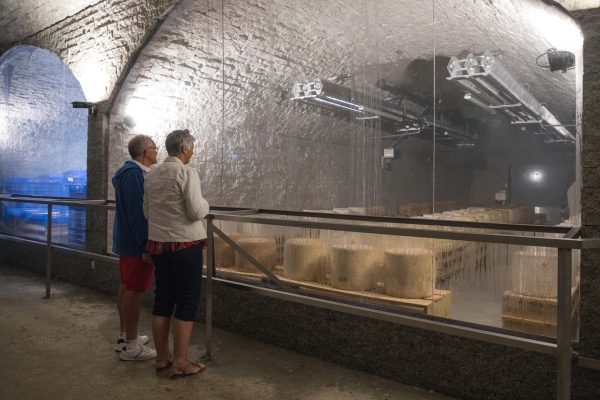 Visitez une ferme et la fabrication du fromage Saint-Nectaire
