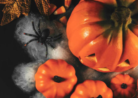 actu-halloween-musee