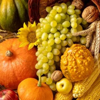Marché de l'automne
