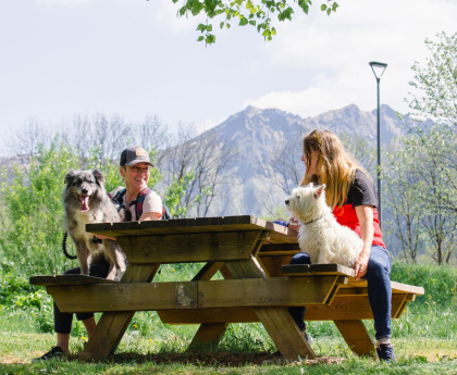 2 jours dans le Sancy avec votre chien