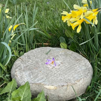 w-froamge-saint-nectaire-printemps-sancy