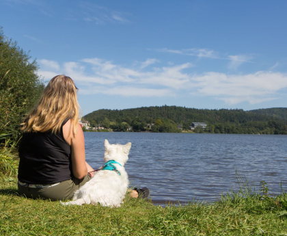 Un week-end à la montagne avec mon chien dans le massif du Sancy