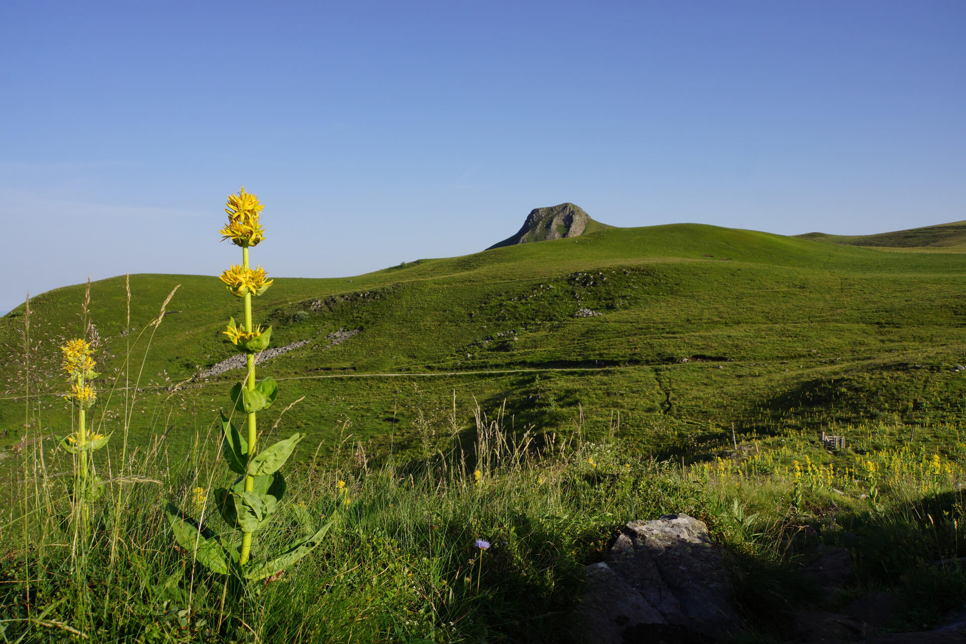 Banne d'Ordanche, a volcanic peak